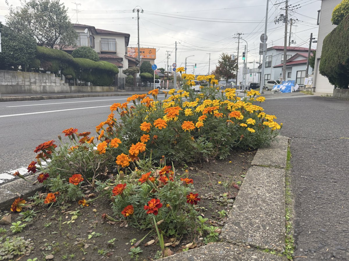 おはよ　#Akita

今日も元気に いきますよ💪

#秋田市
#イマソラ