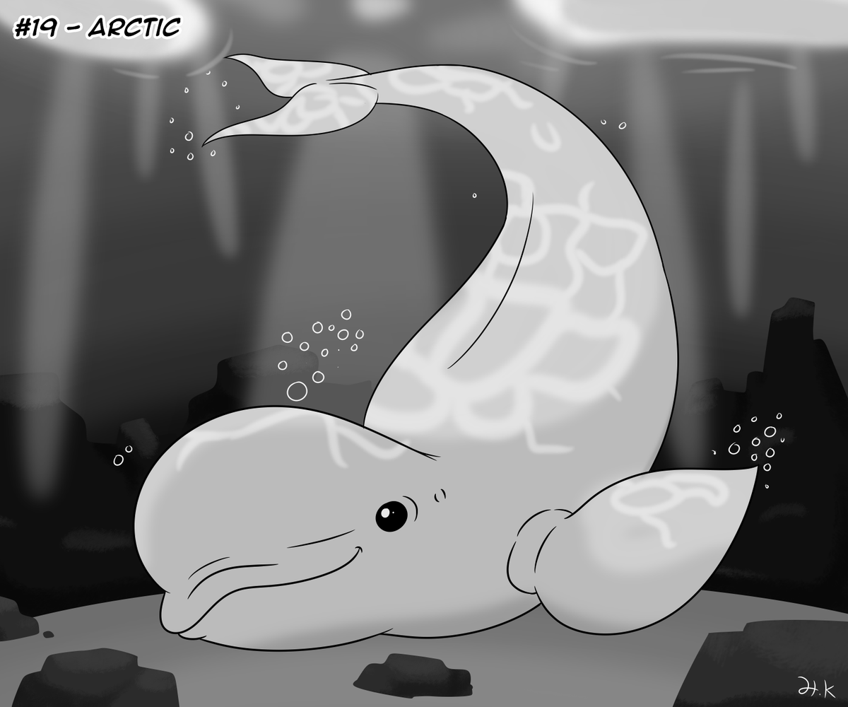 HKibago's tweet photo. Belugas are neat c:
#Inktober2025  #Inktober https://t.co/88wvoBDsMK