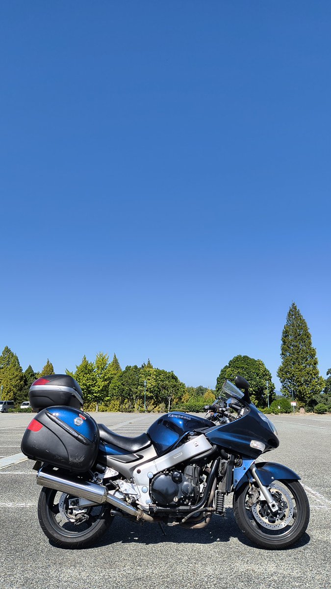 ｼﾛｸﾏ_腹は黒い@ベルモン党 on X