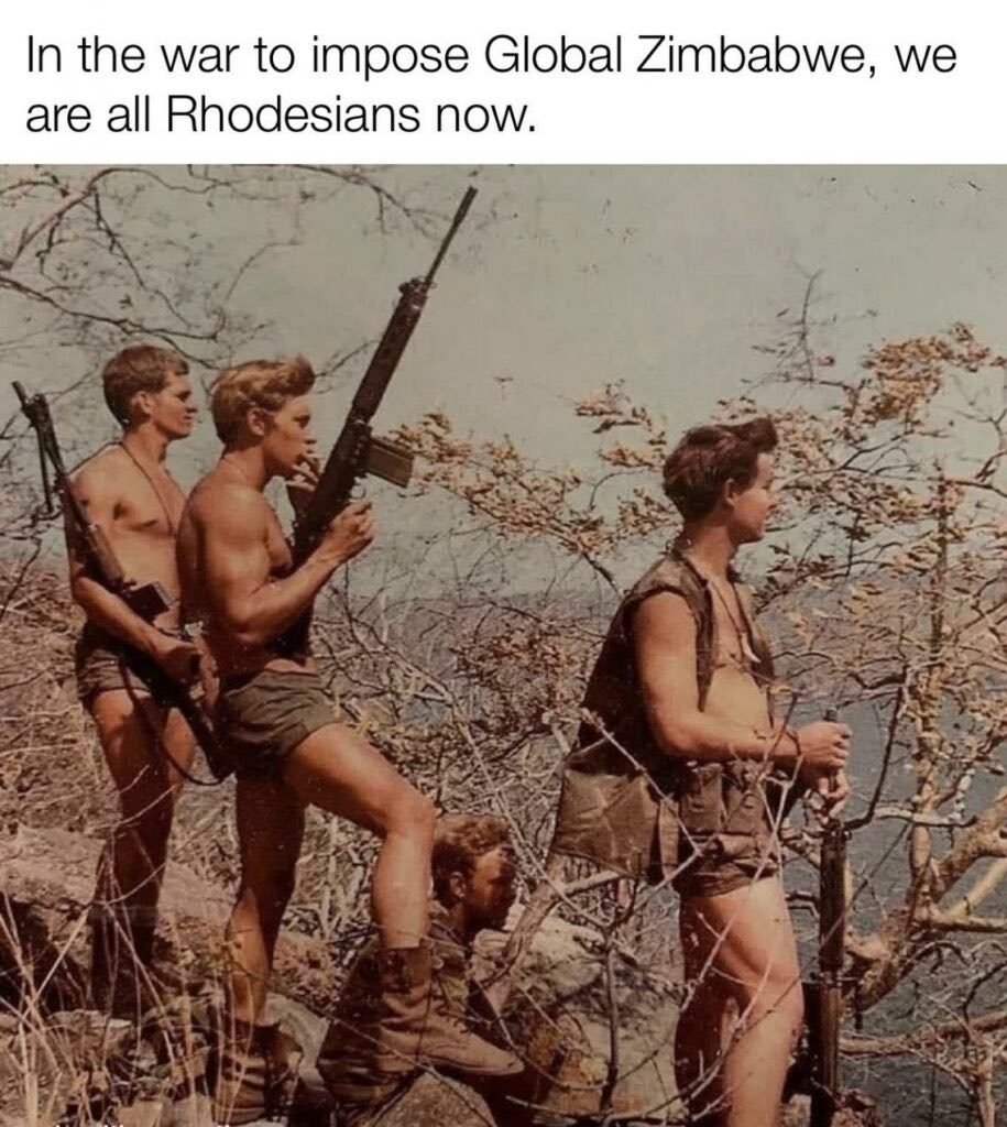 We are in an existential struggle against the unwashed multitude's desire to turn the whole world into a favela, to crush what flowers of civilization remain under the dung-caked sandle of resentment and biological commitment to gay race communism

We're all Rhodesians now
