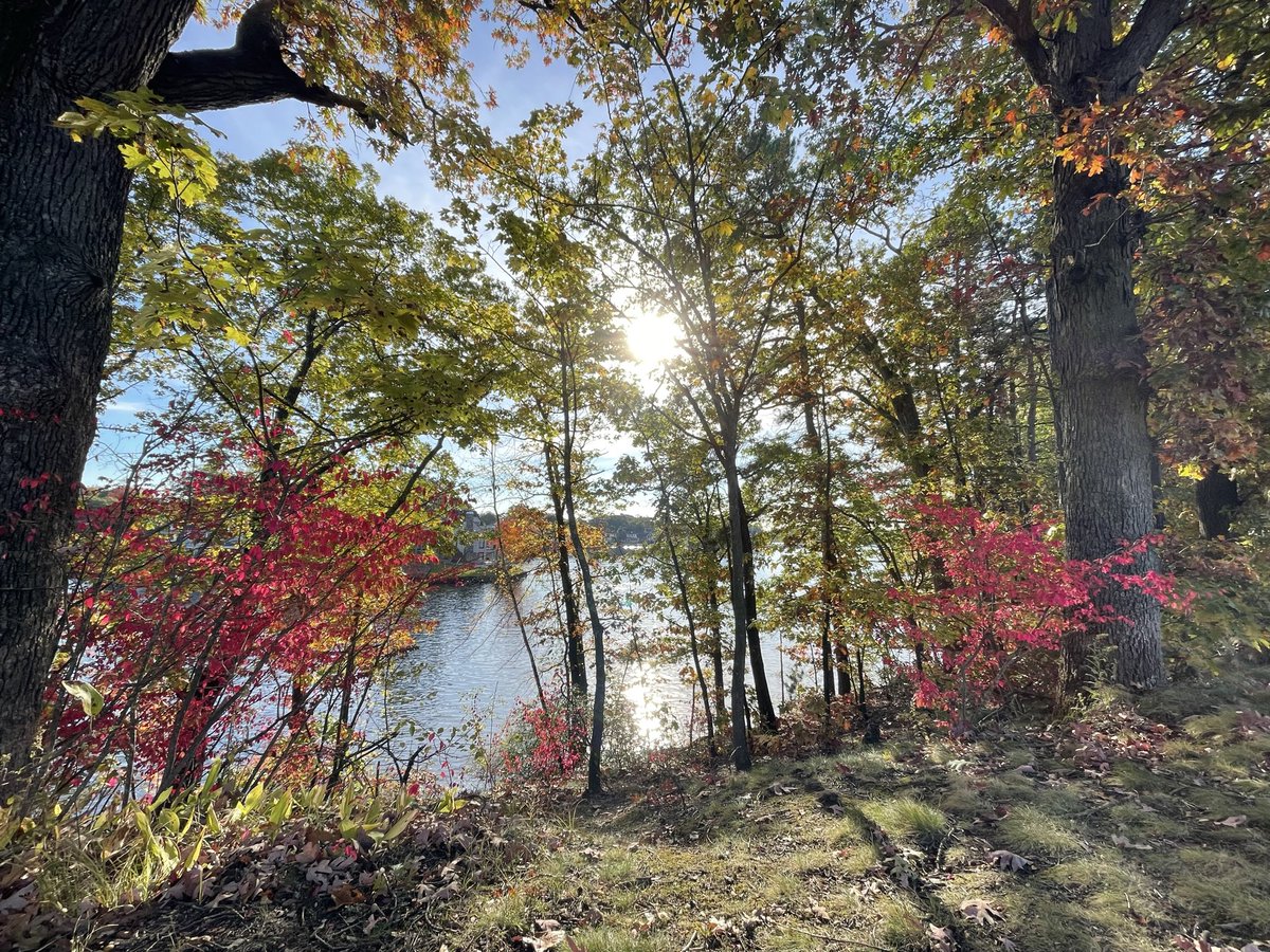 Jen_Angela's tweet image. Autumn beauty.