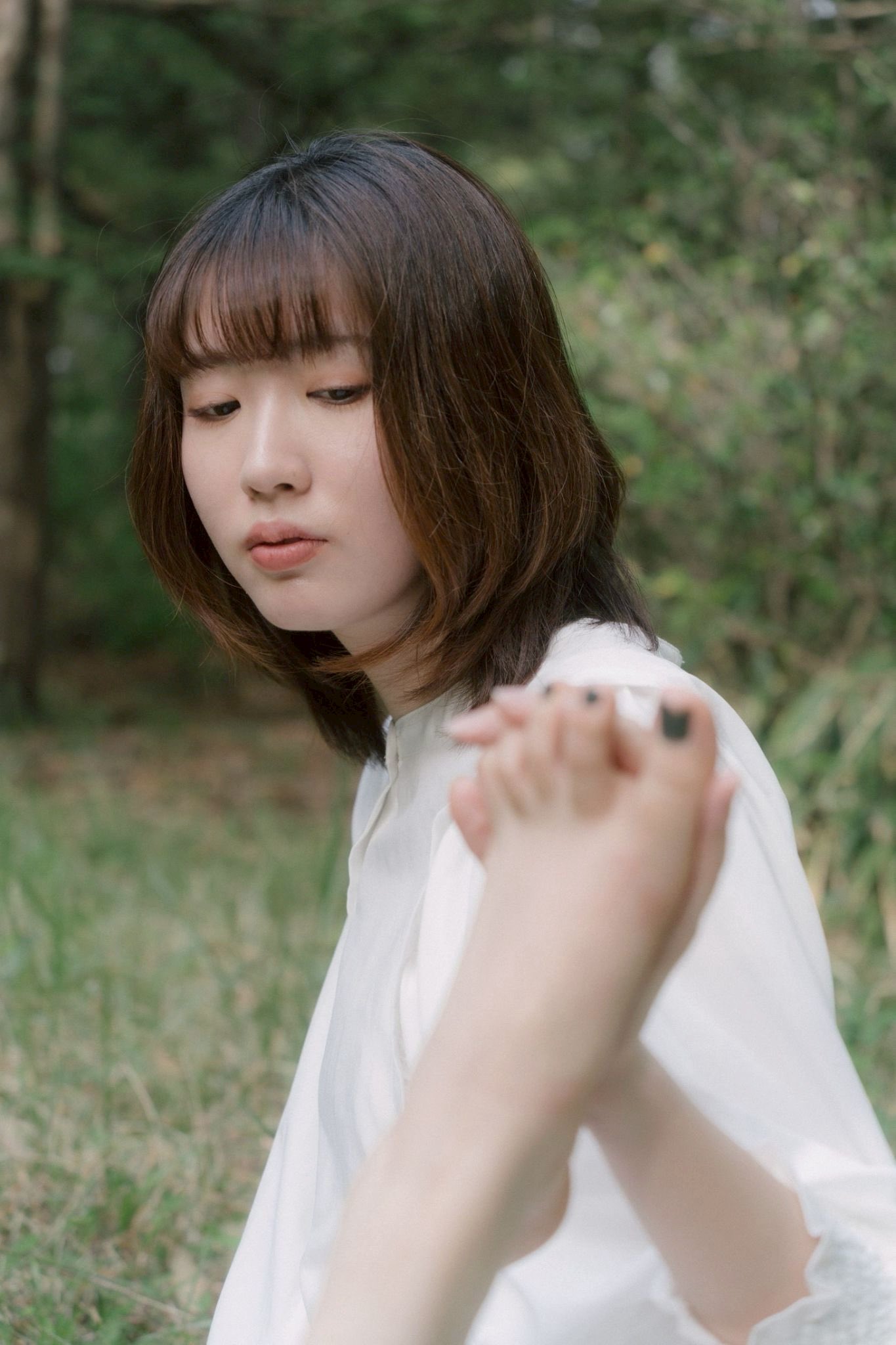 Fuzisiro Tora ┊ 藤白 虎 on X: 