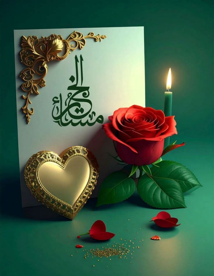 ✨💗 مساء الخير 💗✨
لمن ينيرون عتمة دروبا بجميل حضورهم 💗✨
طبتم وطاب مساؤكم بكل الخير 💗✨

#نجوم_العالم_للتبادل 
#نجوم_العالم_Gp
#قروب_المسافر_فهد
#نجوم_الليل_للدعم
#طيب_أثرك_للتبادل