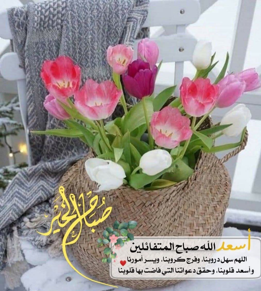 🌹🌿 صباح الخير 🌿🌹
للحياة للبدايات المُزهرة وللتفاصِيل
التي تصنع يومَاً لطيفاً    ......🌿🌹    

#نجوم_العالم_للتبادل 
#نجوم_العالم_Gp
#قروب_المسافر_فهد
#نجوم_الليل_للدعم
#طيب_أثرك_للتبادل