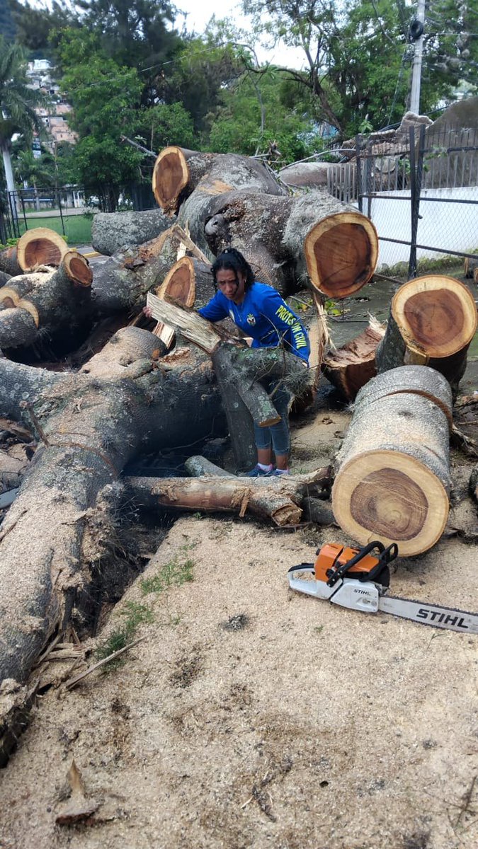 Trabajamos en la colonia Palmira para retirar un árbol que cedió con las lluvias de los últimos días.🌳✂️👷‍♂️

Seguimos presentes limpiando la capital para garantizar tu seguridad y evitar más incidencias en la capital.🤝

¡La Alcaldía en acción en emergencias!💪

#amdc