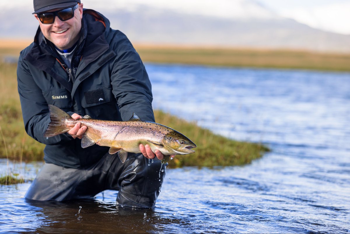 ElevenAngling tweet media