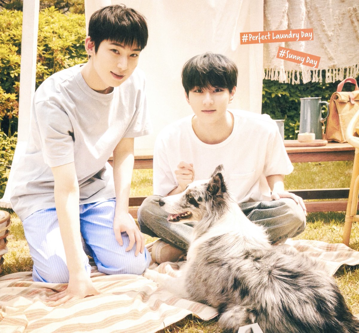 pocketzgallery's tweet photo. we finally got an hd ver of this sunwon 😭 https://t.co/yEzACvTc2X