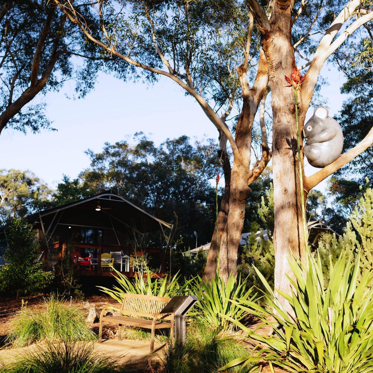 Golden hour hits different here. ✨⛺

As the sun sets over the bushland, the glamping area at Port Stephens Koala Sanctuary comes alive with warm light and the peaceful sounds of nature.

📷: @laid_back_adventures

The perfect way to end a day  bit.ly/3ItgrE6