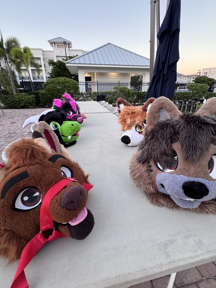 Had such an amazing weekend with such amazing people!! There were so many others that aren't featured here, but i love this picture

<a href="/FoxyJamz/">FoxyJamz🎃</a> 
<a href="/onix_thesheppy/">Onix_thesheppy🔜MFF</a> 
<a href="/LeobaNovaAD/">Leoba Nova</a> 
<a href="/NeverWasInMiami/">Miami is broke 🔜CFF🔜MFF?</a>