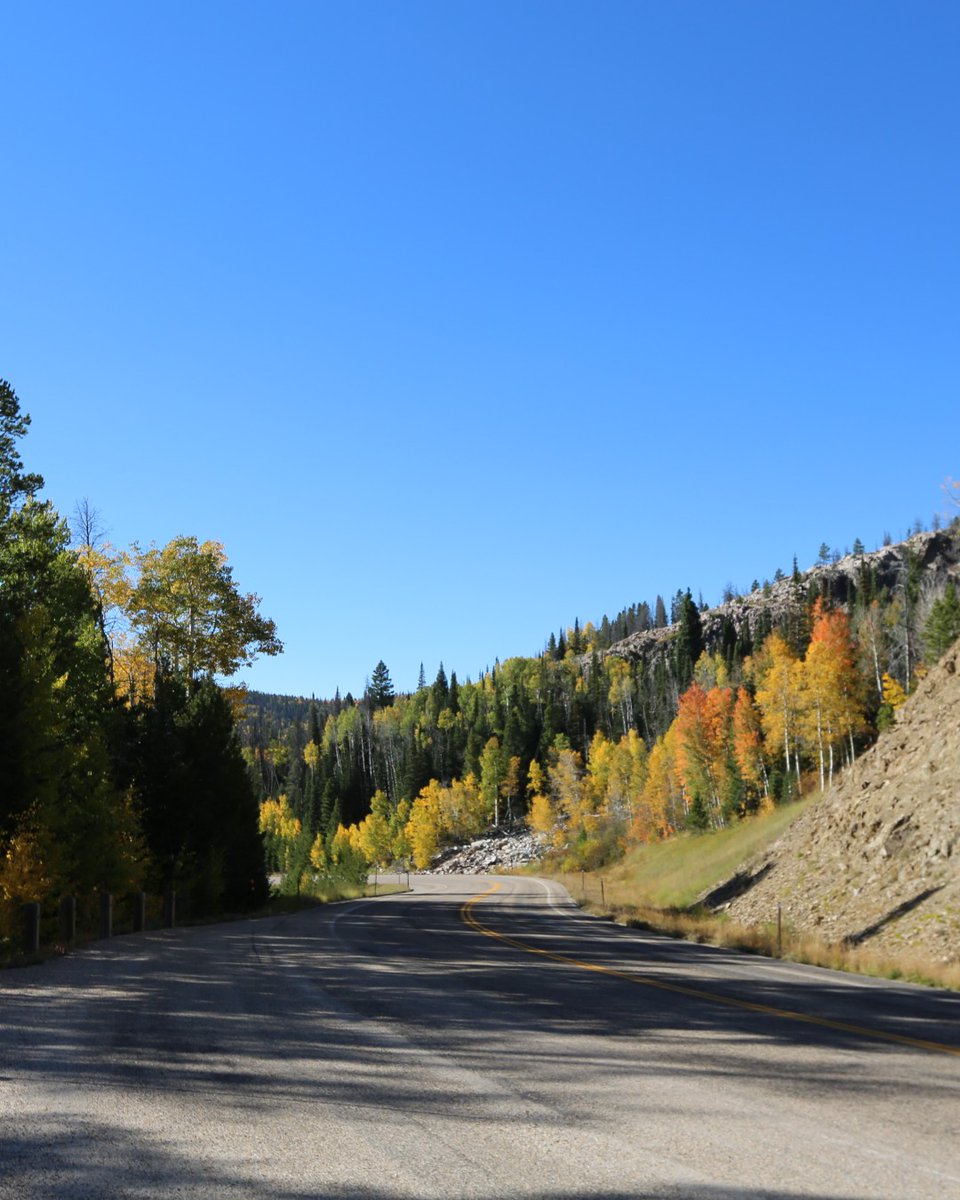 Can you name this byway that climbs high over the Sierra Madre of southeastern Wyoming? 👀

📍Discover Carbon County, WY 

#ThatsWY #wyoming #wyomingusa