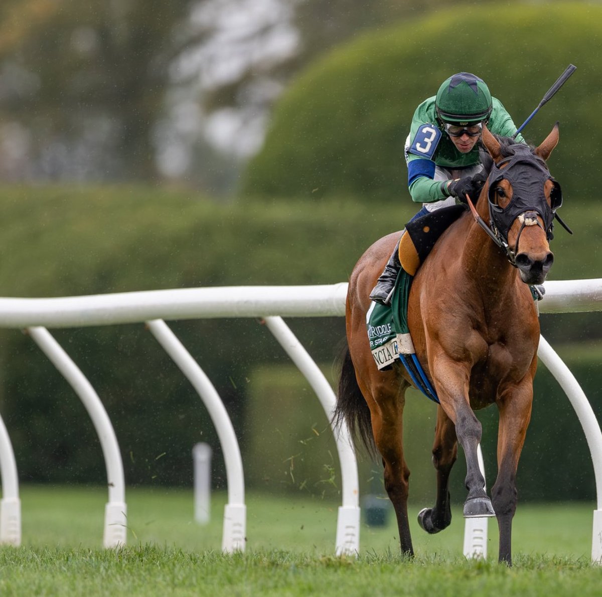 Stakes Winners π (@stakeswinners) on Twitter photo π VENENCIA π«π· 
(Ben Curtis - Brendan Walsh)
<a href="/roodandriddle/">Rood & Riddle</a> DOWAGER STAKES 2025 ($350,000) Keeneland <a href="/keenelandracing/">Keeneland Racing</a> <a href="/_benacurtis/">Ben Curtis</a> <a href="/brenpwalsh/">brendan walsh</a> <a href="/BradleyTBs/">Bradley Thoroughbreds</a> <a href="/EatonSales1/">Eaton Sales</a> 
π· <a href="/keeneland/">Keeneland</a> π VENENCIA π«π· 
(Ben Curtis - Brendan Walsh)
<a href="/roodandriddle/">Rood & Riddle</a> DOWAGER STAKES 2025 ($350,000) Keeneland <a href="/keenelandracing/">Keeneland Racing</a> <a href="/_benacurtis/">Ben Curtis</a> <a href="/brenpwalsh/">brendan walsh</a> <a href="/BradleyTBs/">Bradley Thoroughbreds</a> <a href="/EatonSales1/">Eaton Sales</a> 
π· <a href="/keeneland/">Keeneland</a>