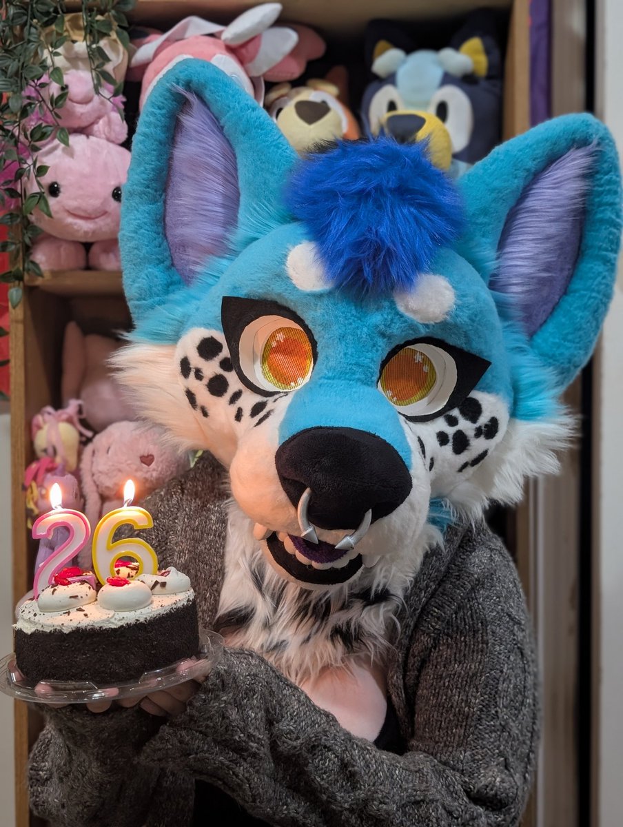 AzuAzulaa's tweet photo. Birthday puppy!!!! @fikko_frutopia and I were saying that this is my puppy death birthday, and now I need to eat kibble for senior dogs :((( https://t.co/gYel6ZIboF