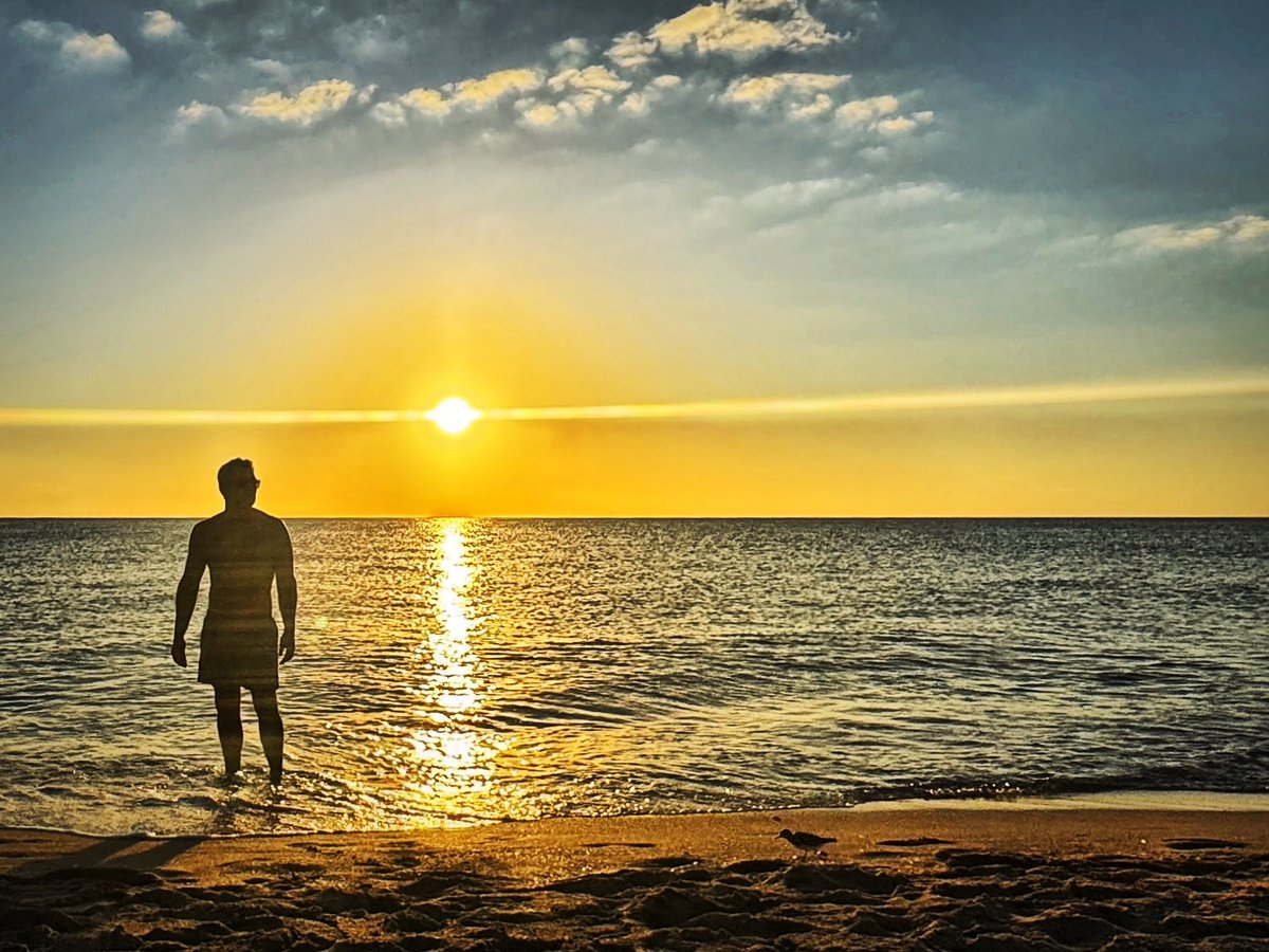 Héctor Sandarti tweet media