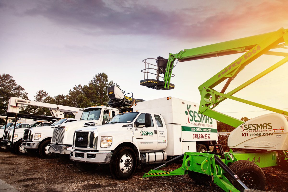 SesmasTree's tweet image. Quick Tree Removal in Sandy Springs, GA

Has a recent storm caused damage to one of your trees? Has your family&apos;s beloved Magnolia become overrun with pests and you fear it&apos;s about to die? If so, give Sesmas Tree Service a call today. Our certified ...

sesmastreeservice.com/tree-removal-s…