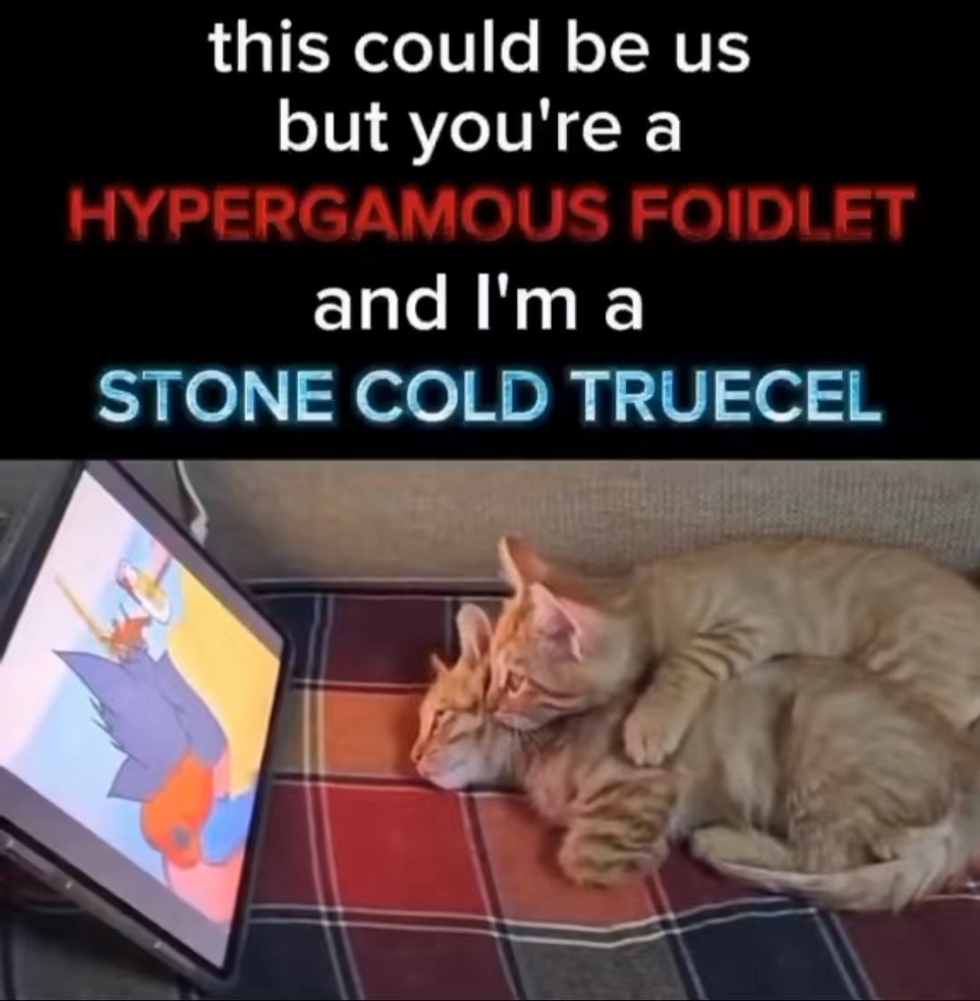 Cœur de Léon (@sufipervert) on Twitter photo 