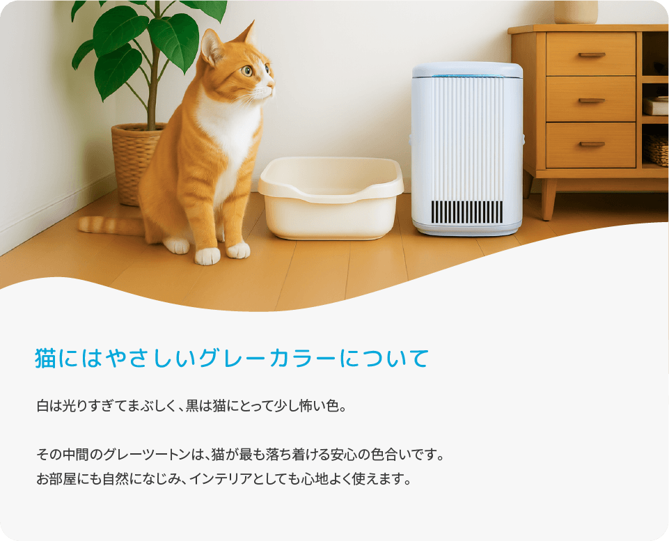 FUJICO フジコー【公式】 on X