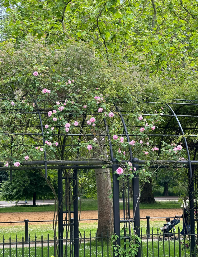 A really beautiful place.