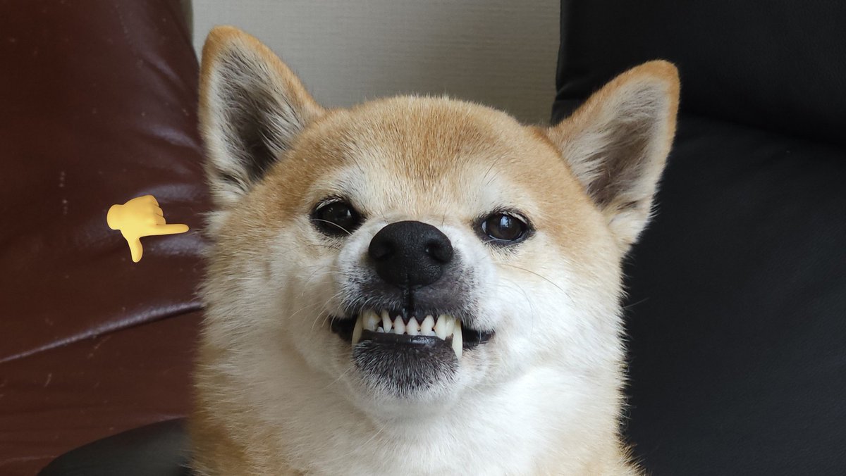 ʟ ɪ s ᴀ (@mi_di_0815) / Posts / X