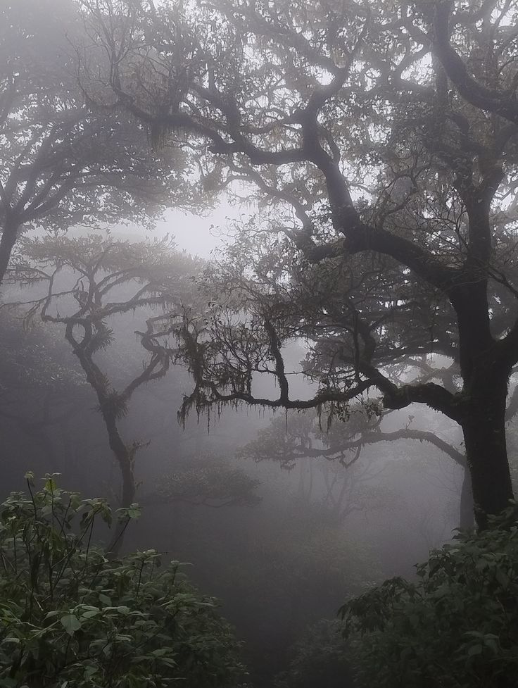 elemmiressoul's tweet image. 𝔣𝔬𝔤.