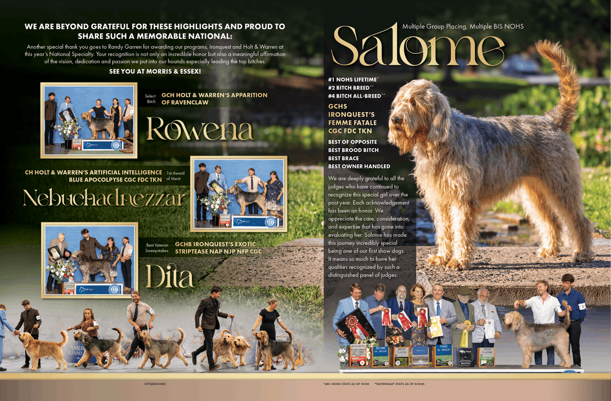 Showsight's tweet image. GCHS Ironquest’s Femme Fatale CGC FDC TKN

Beautiful Salome⭐

showsightmagazine.com/dog-breeds/ott…

#otterhound #purebred #dogshow #dogshow2025 #bestinshow #bestinshowsight #showsightmag