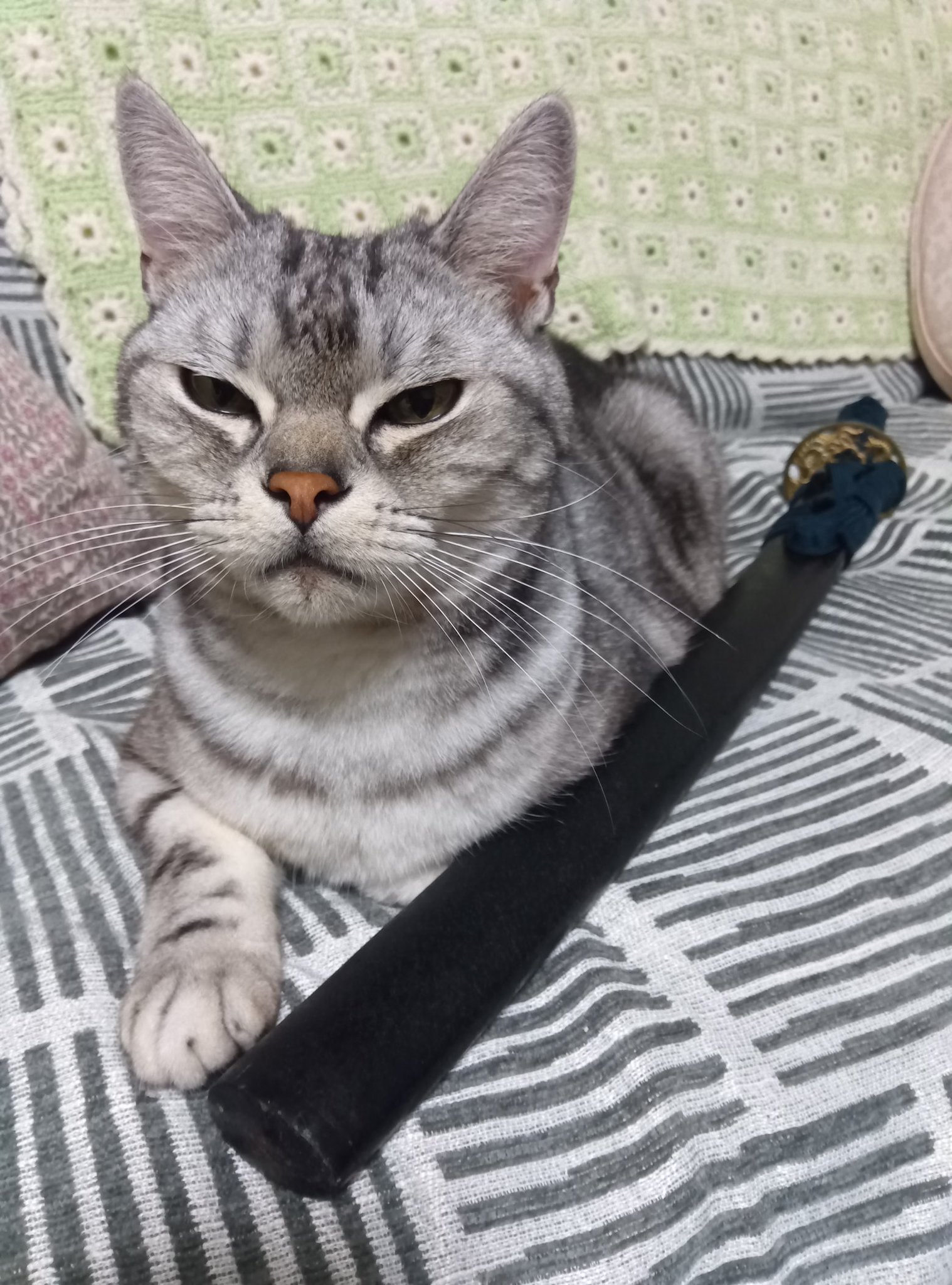 31クレープ on X: 