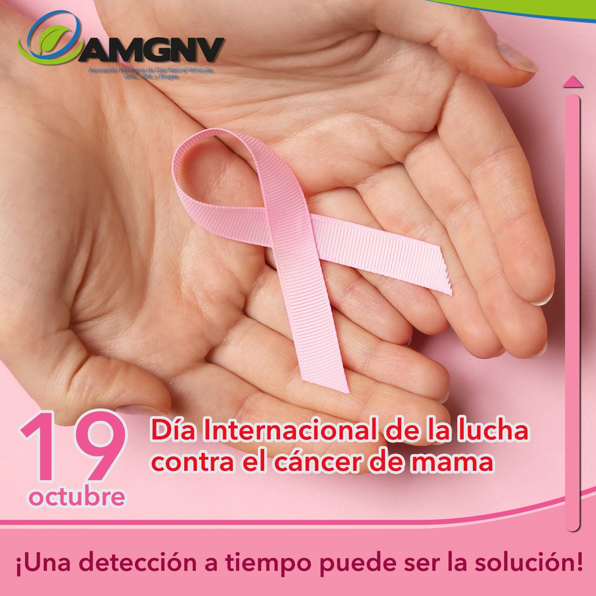 ¡Una detección a tiempo puede ser la solución!
Día Internacional de la lucha contra el cáncer de mama

#OctubreRosa
