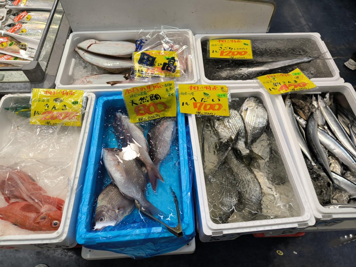 Hiro@Beijingから帰国 (@shantianqq) / Posts / X