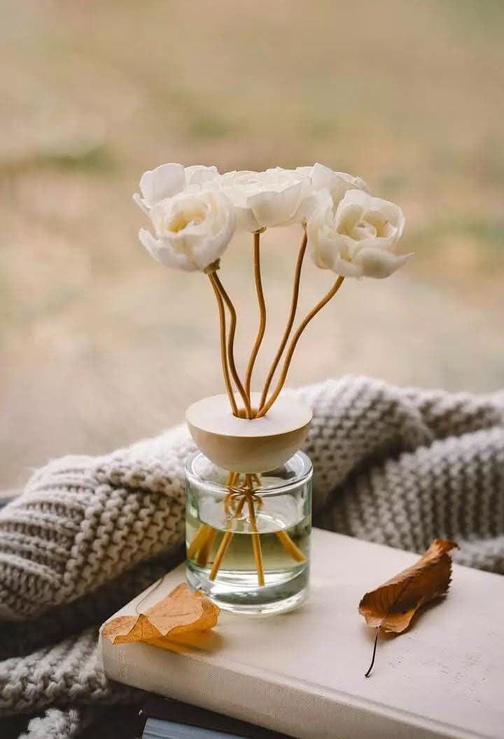 السلام علیکم 
اپنی زندگی ایسے گزاریں کہ ضمیر مطمئن رہے، چاہے دنیا خوش ہو یا نہیں
 معاشرے کے بدلتے معیار اور لوگوں کی رائے کبھی ختم نہیں ہوتی، مگر آپ کی روح کی سکونت سب سے قیمتی ہے
یاد رکھیں، جو لوگ سب کو خوش کرنے نکلتے ہیں، وہ خود کو کھو دیتے ہیں۔
#داستان_دل