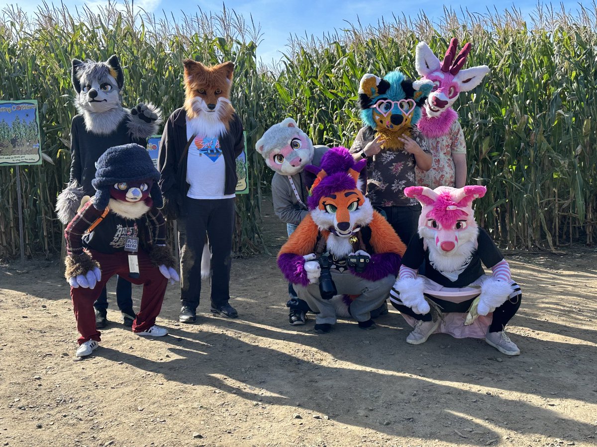 shadowmoonray's tweet image. I hosted a #furry furmeet!