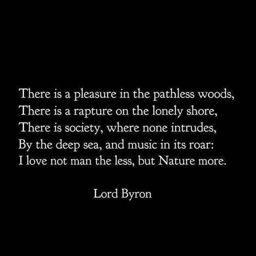 logikzone's tweet image. There is a pleasure in the pathless woods,
There is a rapture on the lonely shore,
There is society, where none intrudes,
By the deep sea, and music in its roar:
I love not man the less, but Nature more.
--Lord Byron