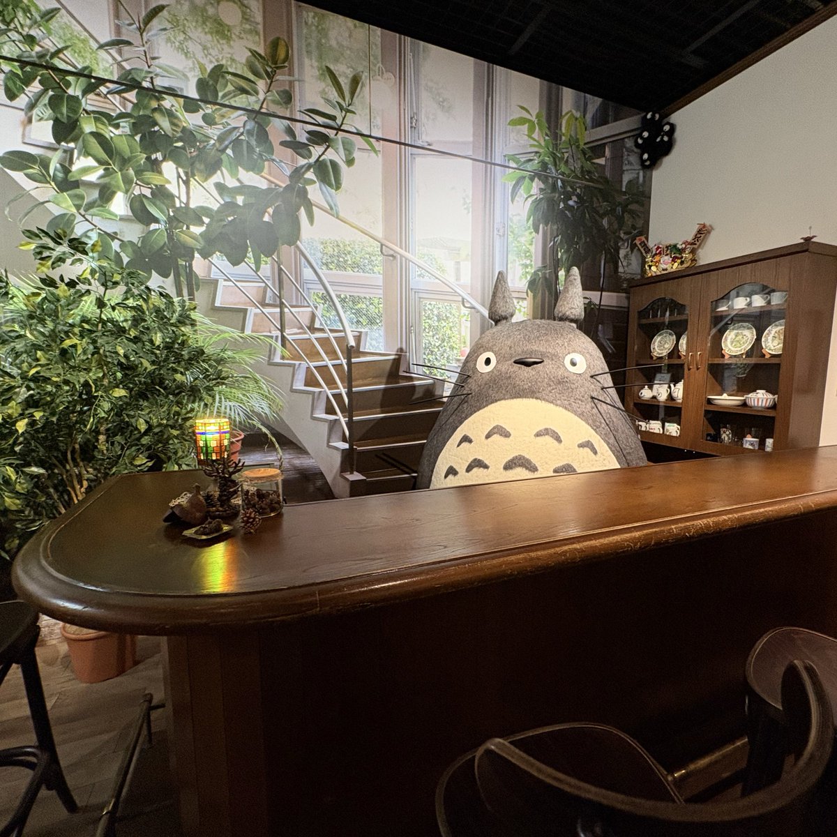 ジブリパーク行ってきました！！
夢のような日でした。