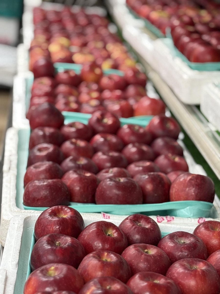 協力お願い致します🙇‍♂️
拡散希望
土日にりんご飴360個用意しましまが
270個販売で
まだ90個あります。
本日200円で販売します。
※お一人様3個まで
お客様ご来店してから
カット致します。
この商品だけ
お支払は現金でお願い致します🙇‍♂️
無くなり次第終了

#りんご飴200円
#拡散希望
#カットりんご