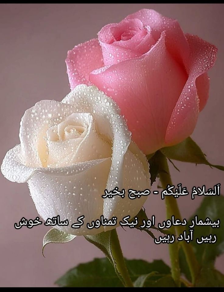 السلام علیکم 
مشکل وقت میں ہمیشہ دعا مانگو، جہاں انسان کا حوصلہ ختم ہوتا ہے، وہاں سے اللہ پاک کی رحمت شروع ہوتی ہے۔ ❤️ 💯
#داستان_دل