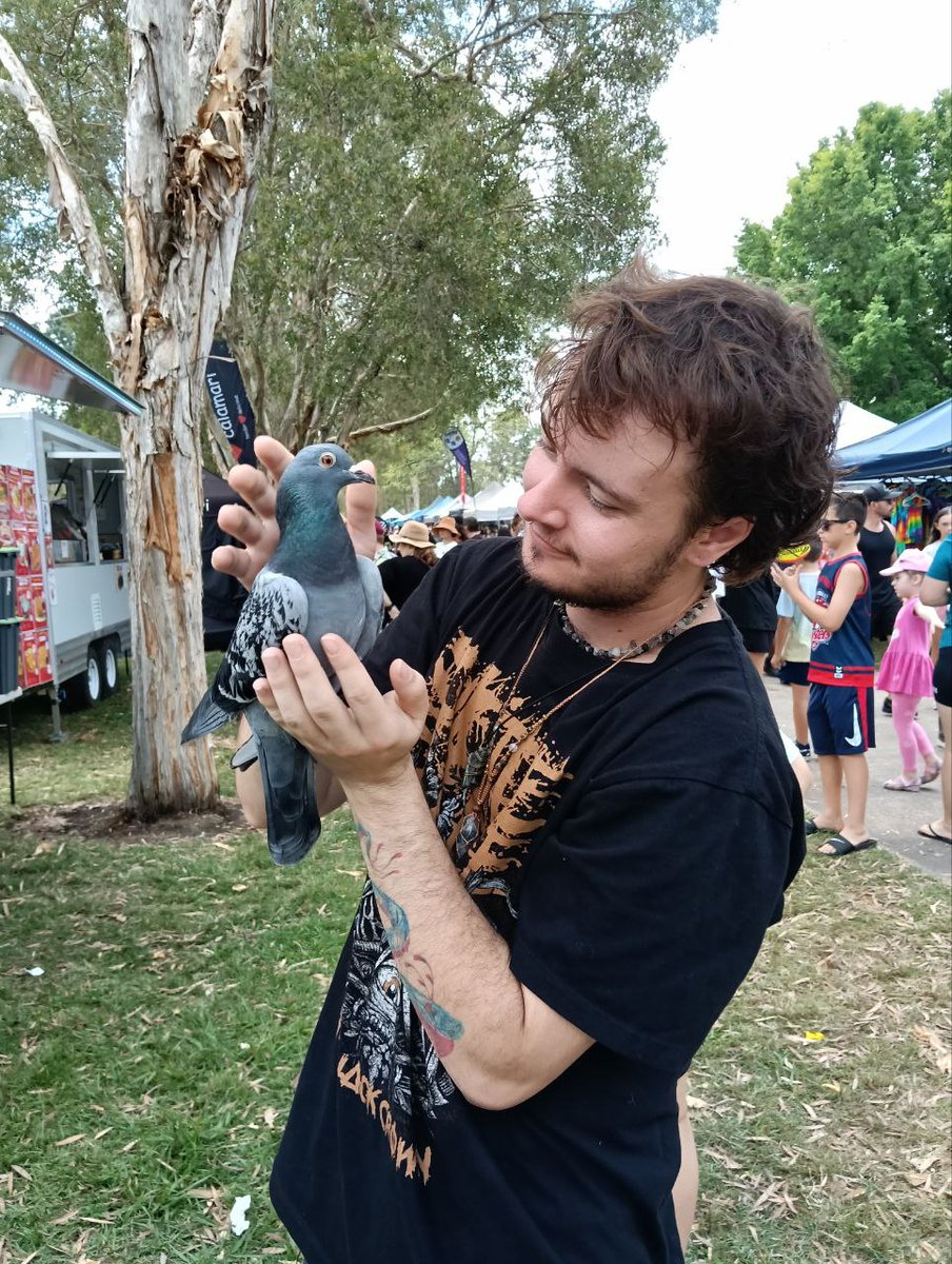 deepc_cryptid's tweet image. Took him to the new local markets, everyone loved him and he was so well behaved 💚🌳

#pigeon