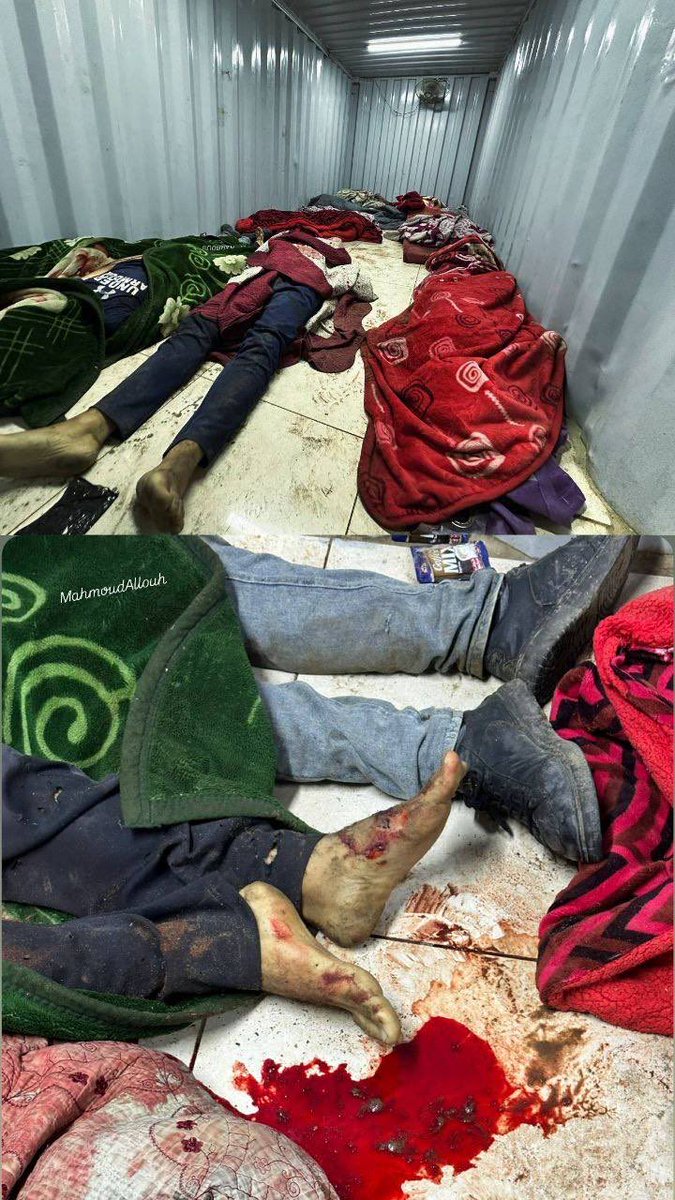 MosabAbuToha's tweet image. A photo from Al-Awda Hospital in Al-Nuseirat Camp shows the bodies of some of the victims slaughtered by Israel today, as part of Israel’s violation of the so-called “ceasefire.”

In less than seven hours today, Israel massacred 44 Palestinians,
bringing the total number of…