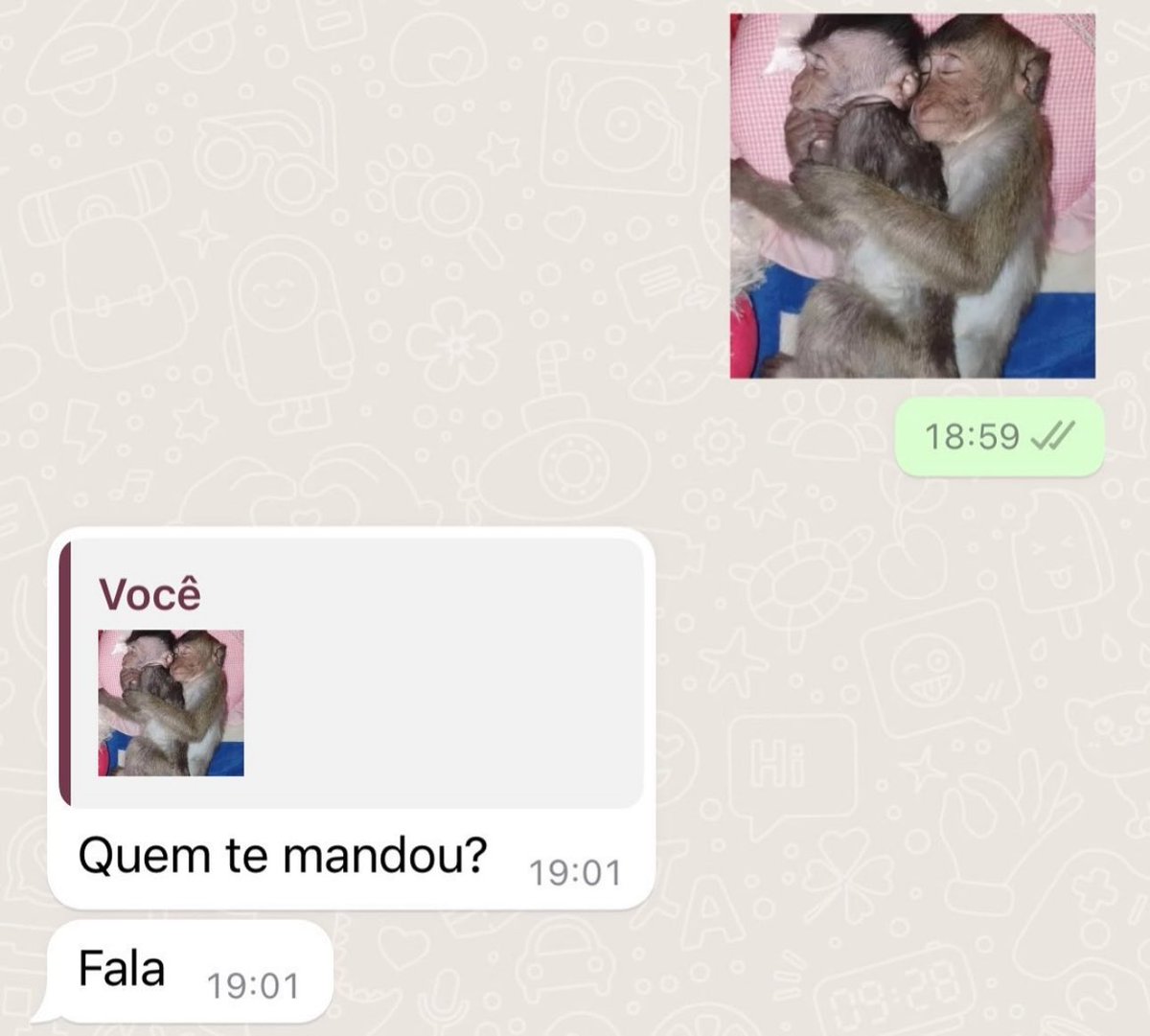 provas que os humanos deveriam ser extintos (@provasextinto) on Twitter photo 