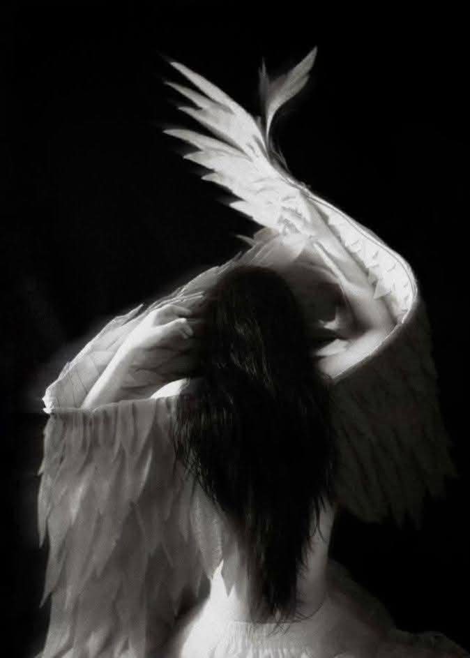 <a href="/EL_Dolar_/">مـْـْْـْجـ,ـرڊ حـًـًًـًًًـًًـًـبـٌـٌٌـٌٌٌـٌٌـٌر🍷</a> <a href="/EL_Mansy_5/">عٌـــقٌــابـٌـٌٌـٌٌ_الُــحــروُفُــ𓅂ᬼـ</a> تري  ..  
أيعود #الطير من 
بعد اغتراب ؟!⋱🖤!"