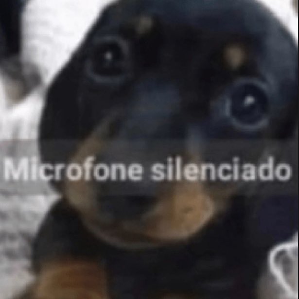 * 𝒉αчden tweet media
