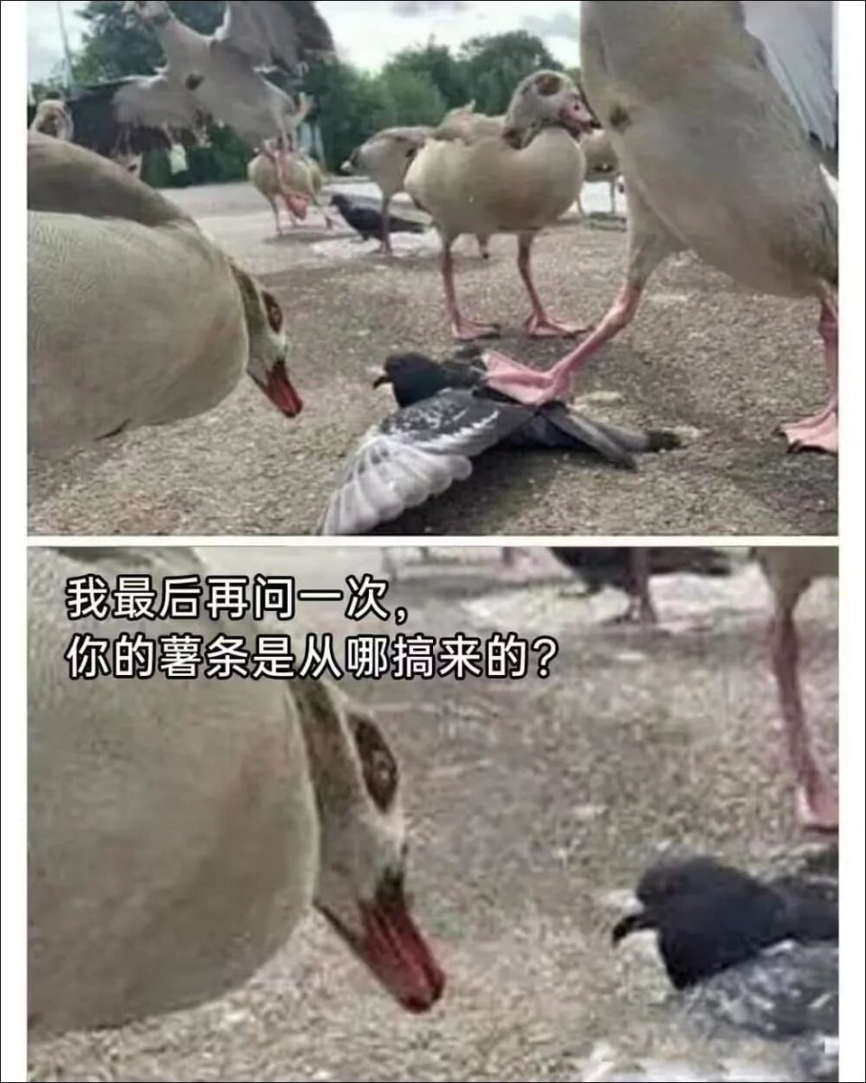 hsn8086's tweet image. 