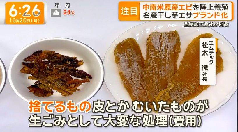 yuruhuwa_kdenpa's tweet image. 茨城県の金属加工会社が干しイモの皮を餌に使ったエビの養殖を開始
↓
甘味の強いエビが爆誕

日本の民間レベルでの食べ物開発スキル謎に高いの何