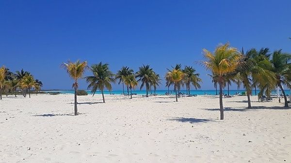 Anuncian nuevos vuelos desde Argentina a Cayo Largo, Cuba buenviajeacuba.com/noticia/anunci…