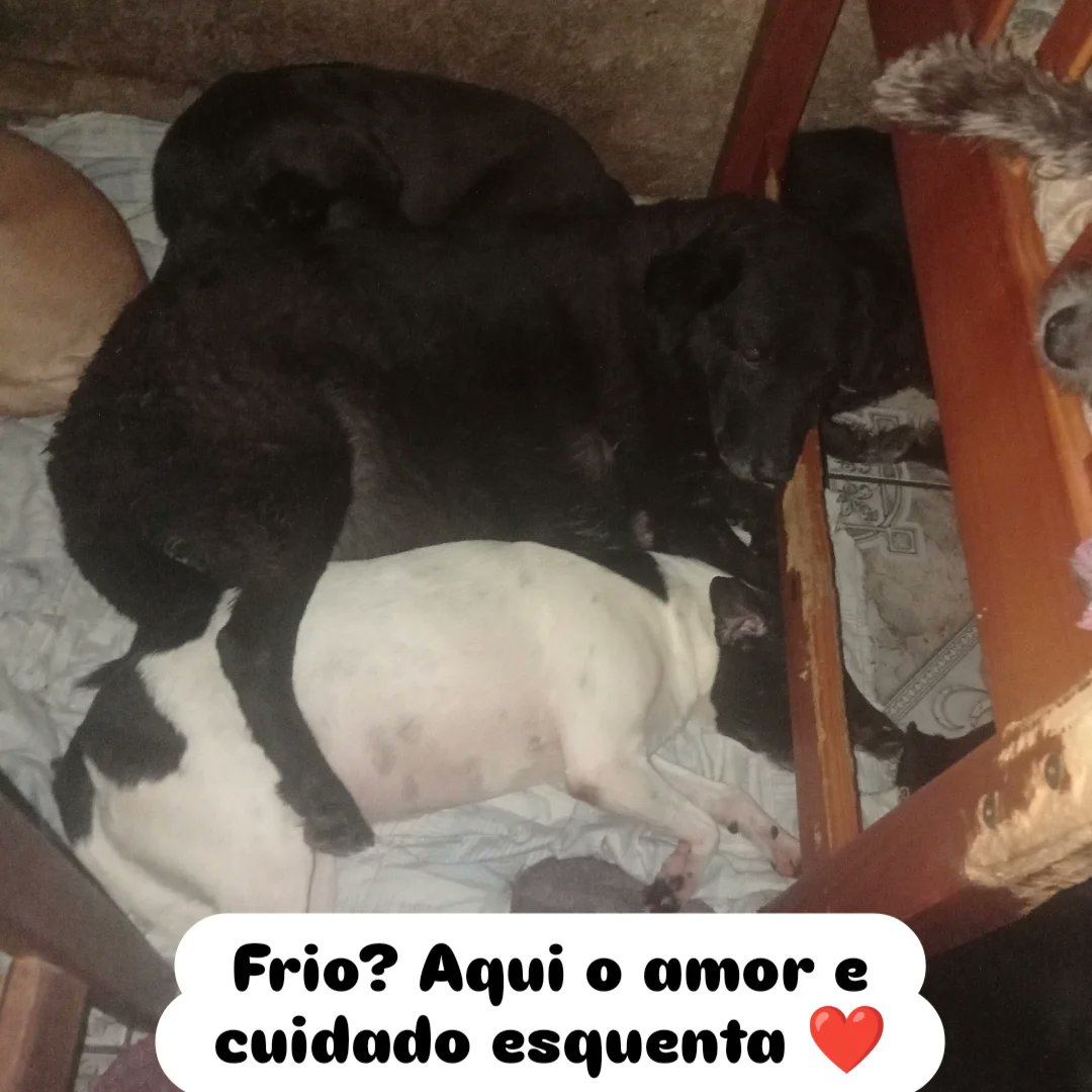 Nos ajudem a fechar o mês de outubro , casa de ração mais de $9 mil. Água R$820 e luz R$320 
Falta $10.115 Pix CPF 077.469.026-77walisson