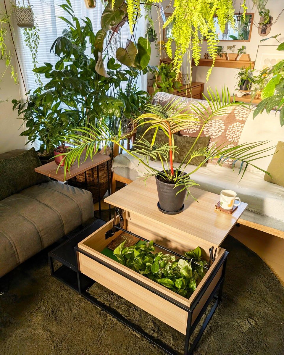 Intandmarsuki's tweet image. 今年の夏に撮った一枚の写真です。太陽の光を浴びて生きている花や草は、とても美しく見えます😊