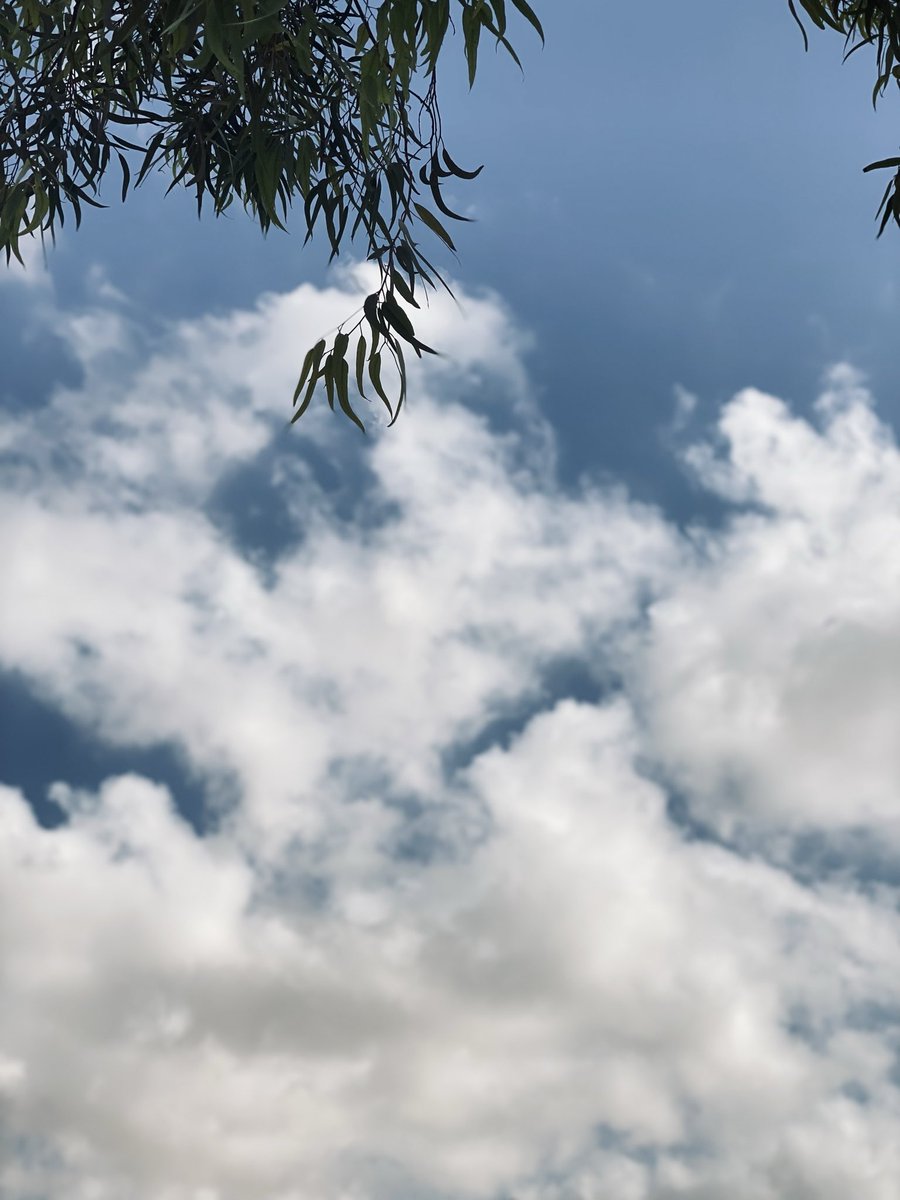 اجدابياا 🙈♥️