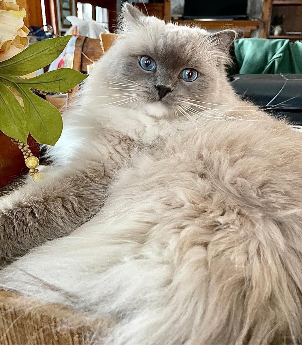 Until tomorrow!😴🌙🤠