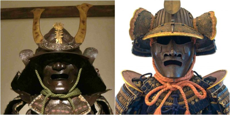 Someone should draw this beast being ridden by a samurai