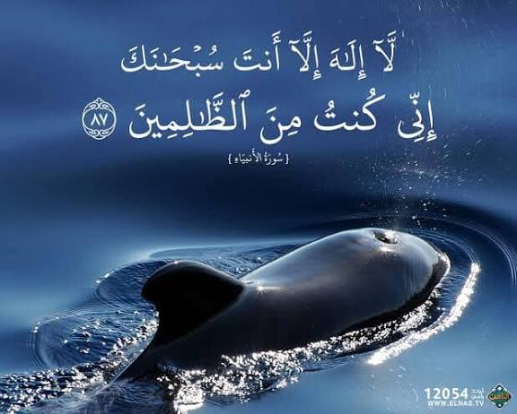 ابوعامر الشريف (@abwamr38921) on Twitter photo 