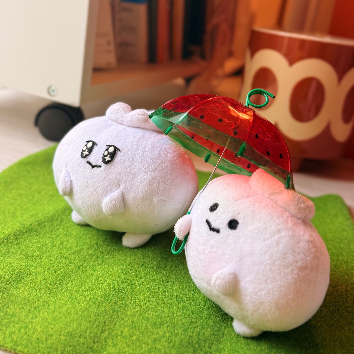 こげぱん、まめびょん、いろいろ11点 こげぱん、まめびょん、いろいろ11点 予約商品＞2025年11月発売