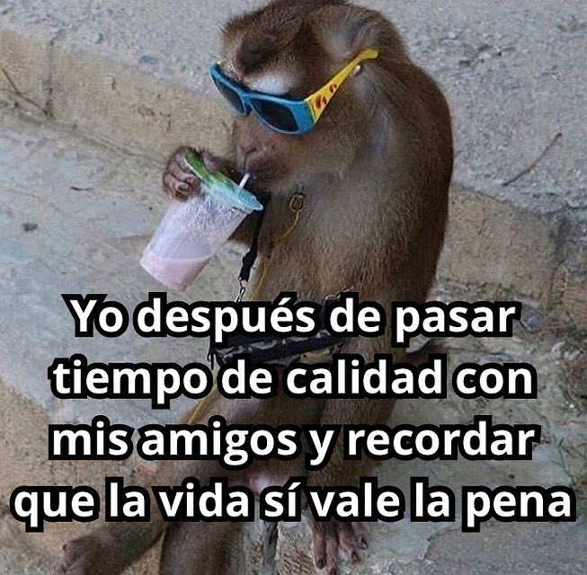 emociones amarillas (@conoloracigarro) on Twitter photo 