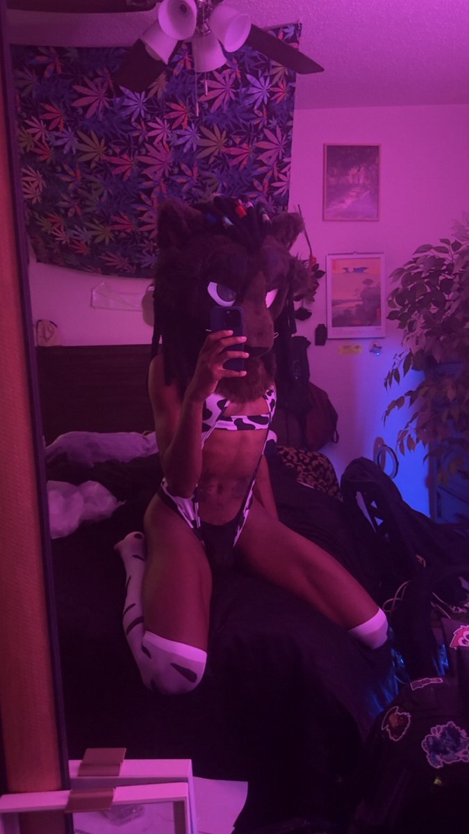 black furry transfem on ur tl🥰